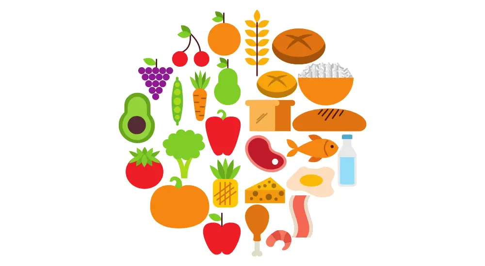 nutrition - illustration