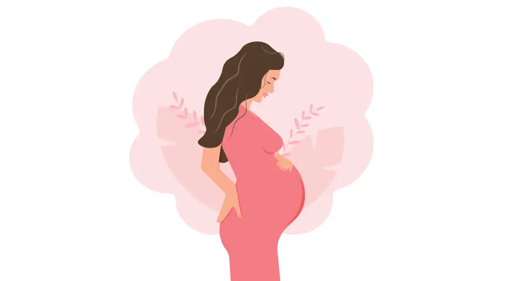 pregnant woman - illustration